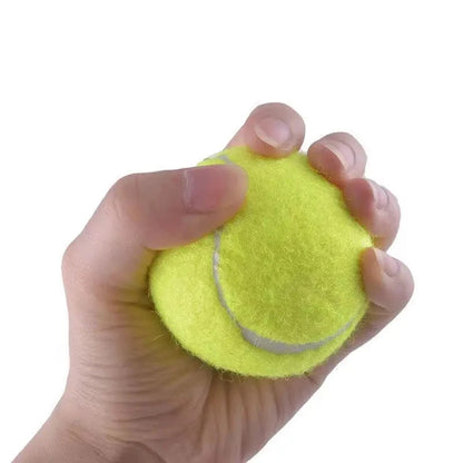 6/12pcs Tennis Balls with Mesh Carry Bag Practice Ball High Elasticity Pet Dog Playing Balls Outdoor Training Sports Competition